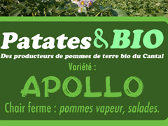 Gaec de Puy Basset - Patates & Bio