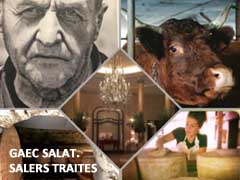 Gaec salat Salers traites