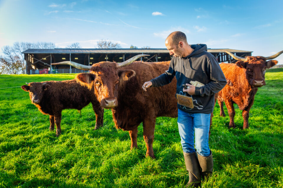 GAEC RECONNU TRIN - 15000 Aurillac