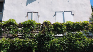 LOCATION GERANCE BAR RESTAURANT
